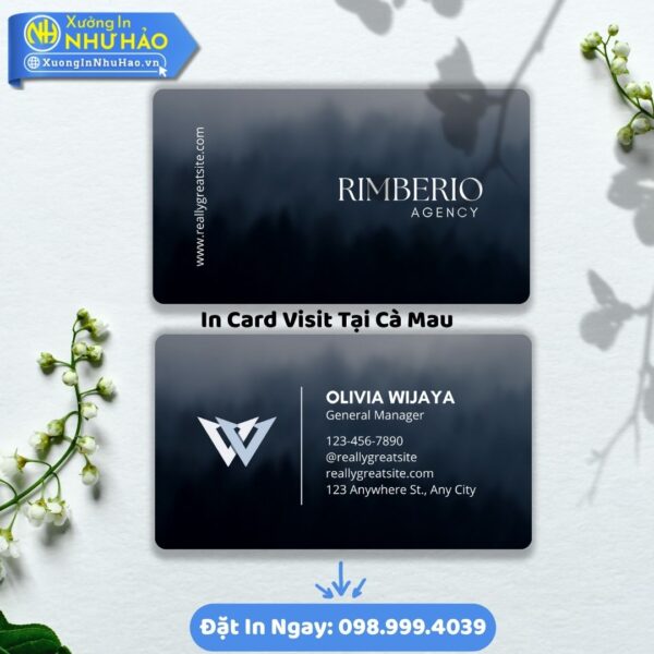 Dịch Vụ In Card Visit Cà Mau Uy Tín Chất Lượng Tại Xưởng In Như Hảo